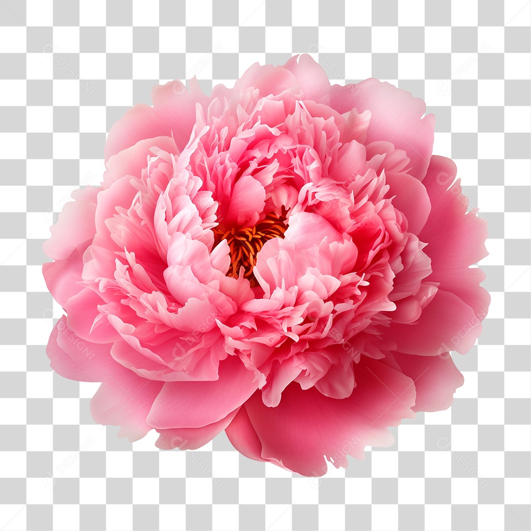 Garden Garden Garden Garden Garden Garden Plant PNG Transparent