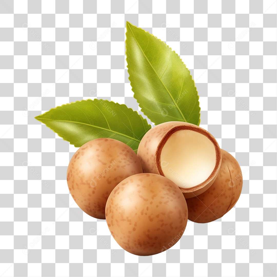 Nozes de Macadâmia PNG Transparente