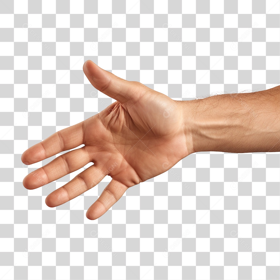 Mão PNG Transparente