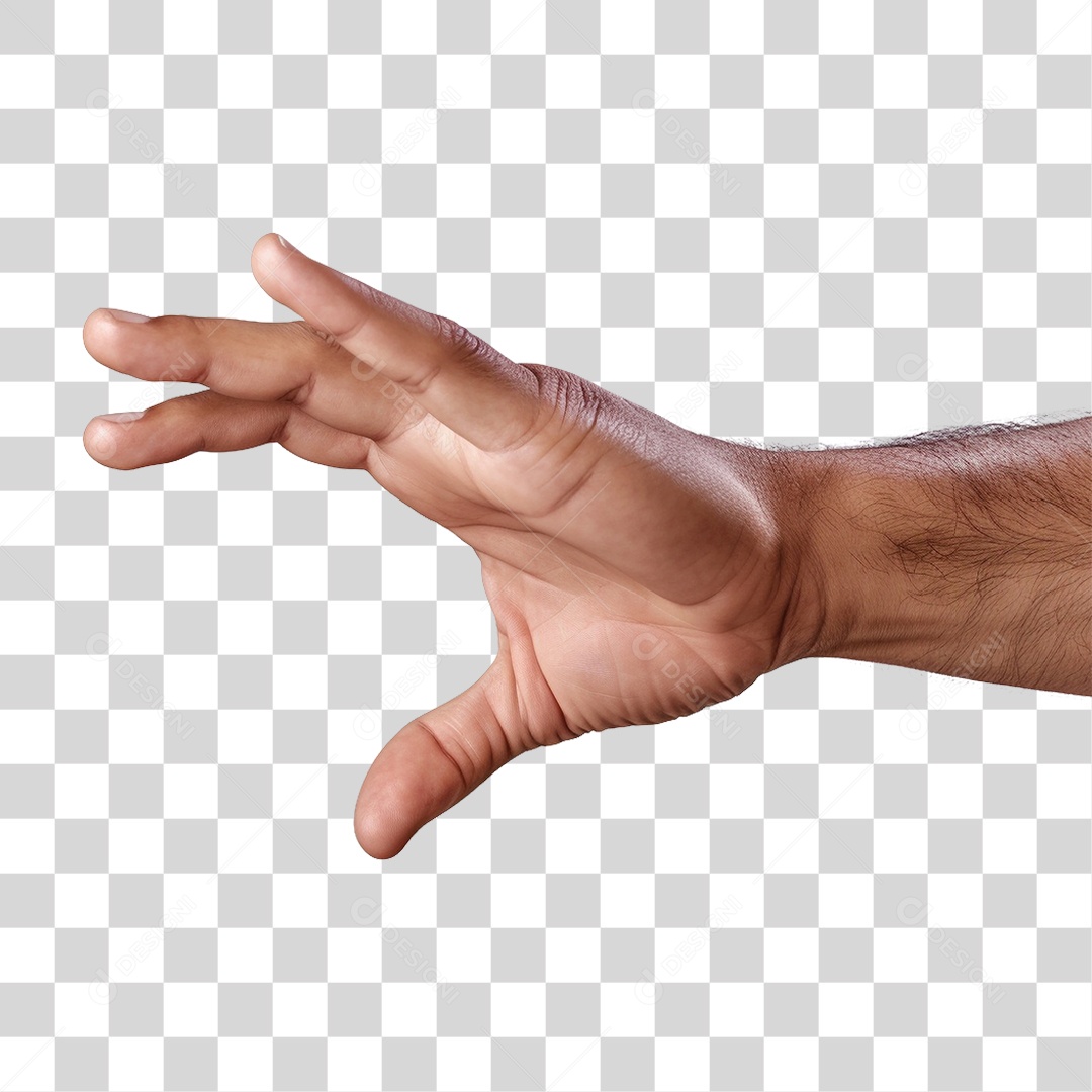 Mão PNG Transparente