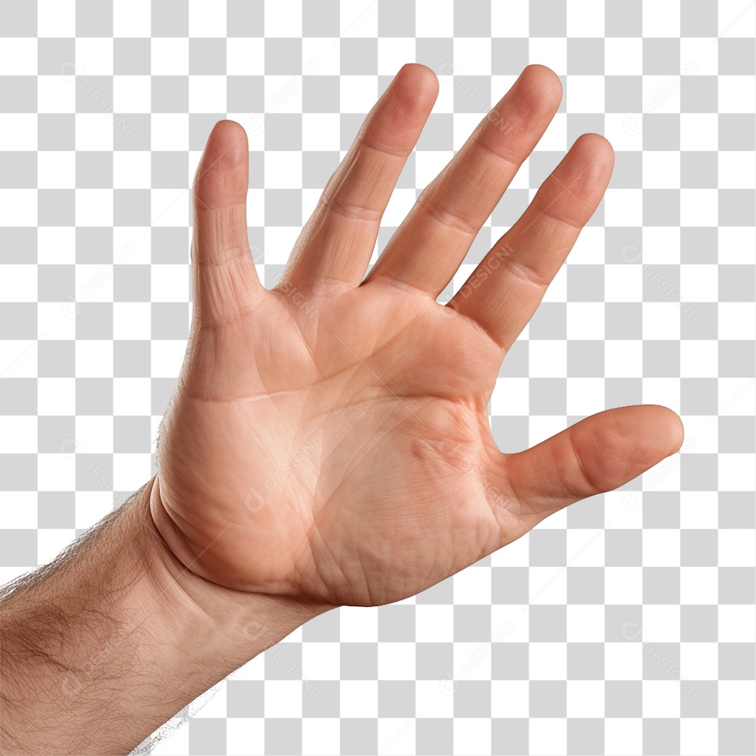 Mão PNG Transparente