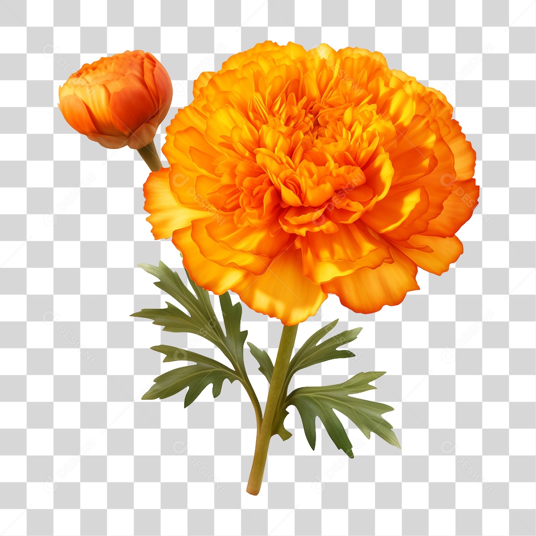 Flor Amarela PNG Transparente