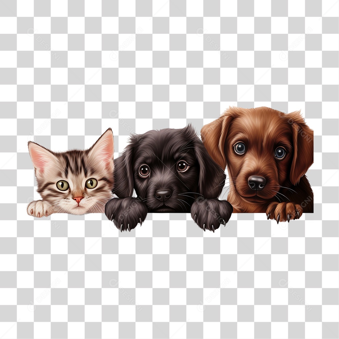 Animais de Estimação PNG Transparente