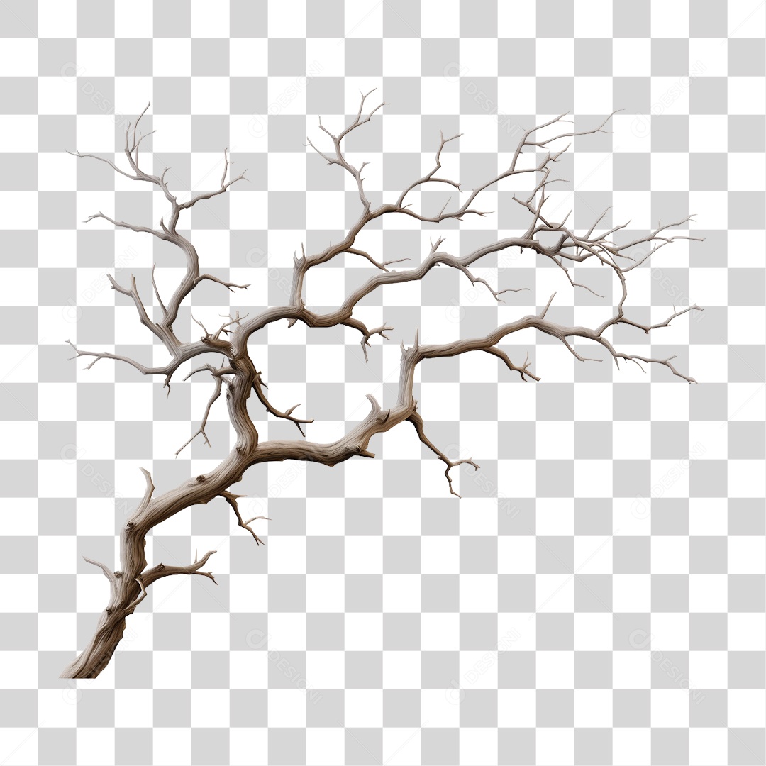 Galhos PNG Transparente