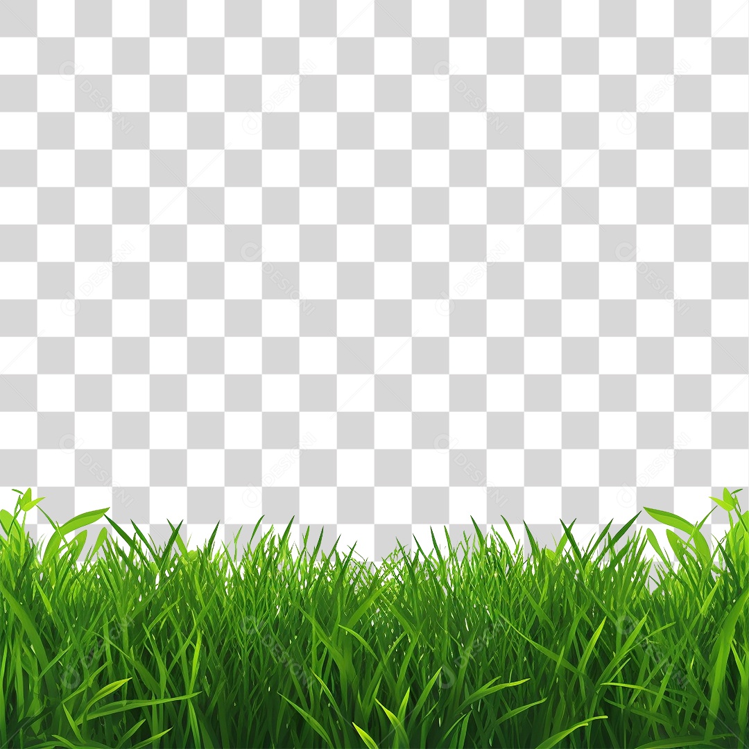 Grama Capim PNG Transparente