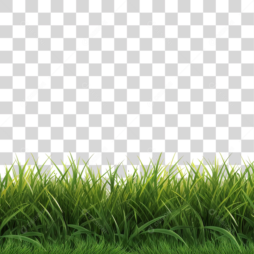 Grama Capim PNG Transparente