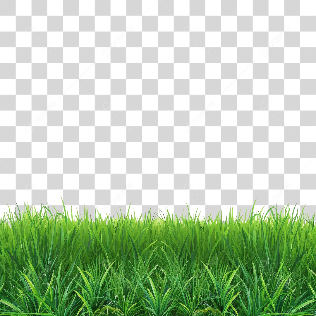 Grama Capim PNG Transparente