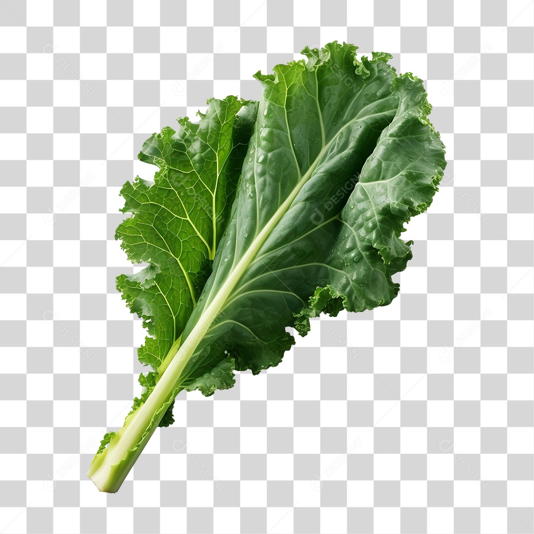 Folhas de Couve PNG Transparente