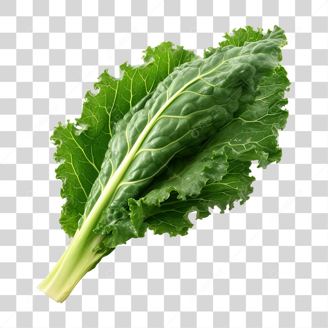 Folhas de Couve PNG Transparente