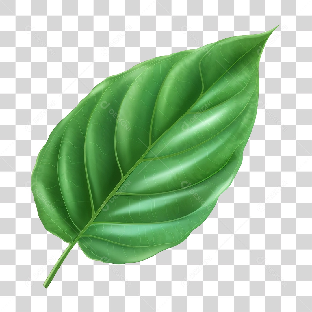 Folhas Verdes PNG Transparente