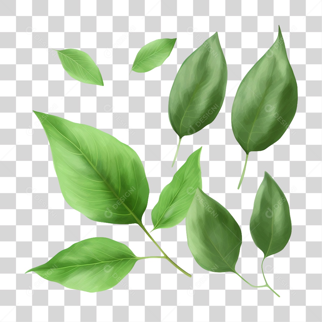 Folhas Verdes PNG Transparente