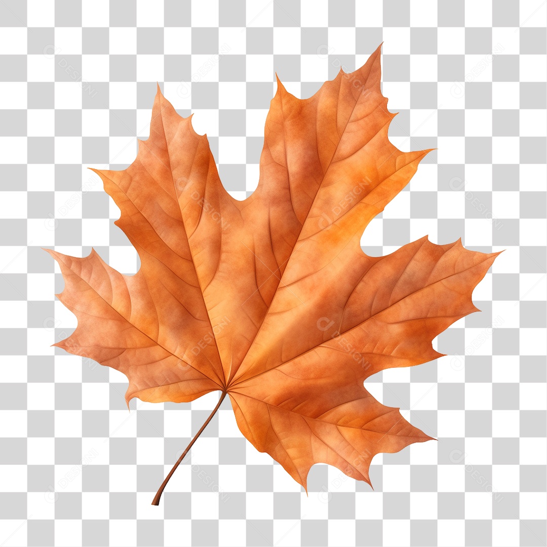 Folhas Galhos PNG Transparente