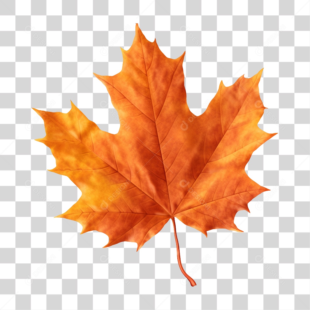 Folhas PNG Transparente