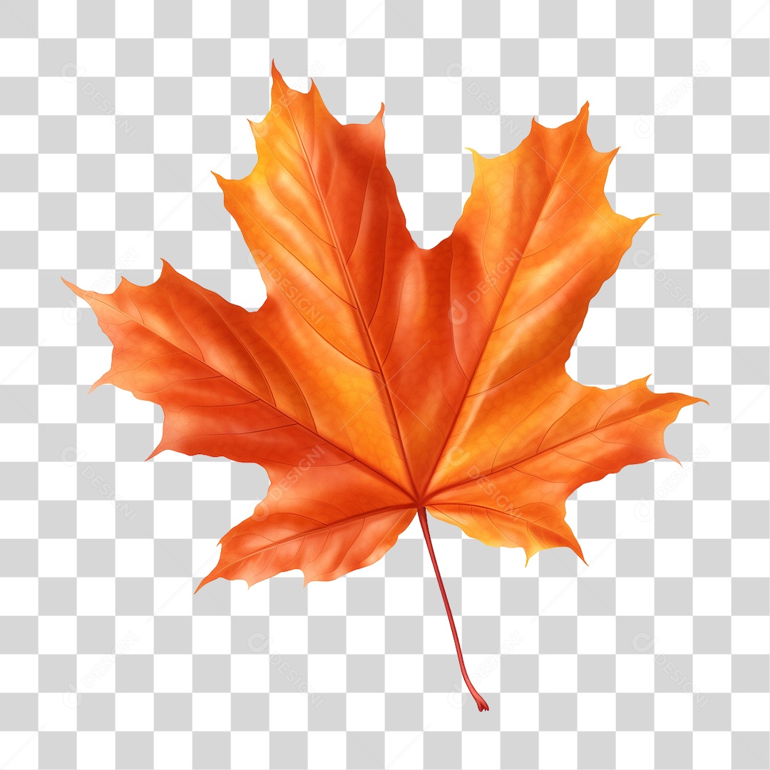 Folhas PNG Transparente