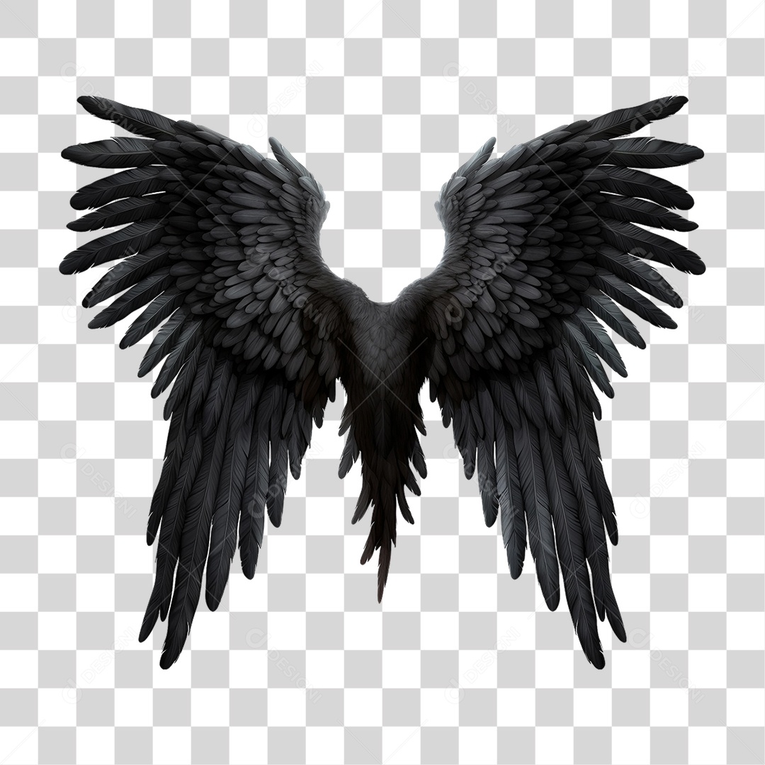 Asa Preta PNG Transparente