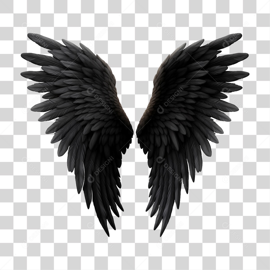 Asa Preta PNG Transparente