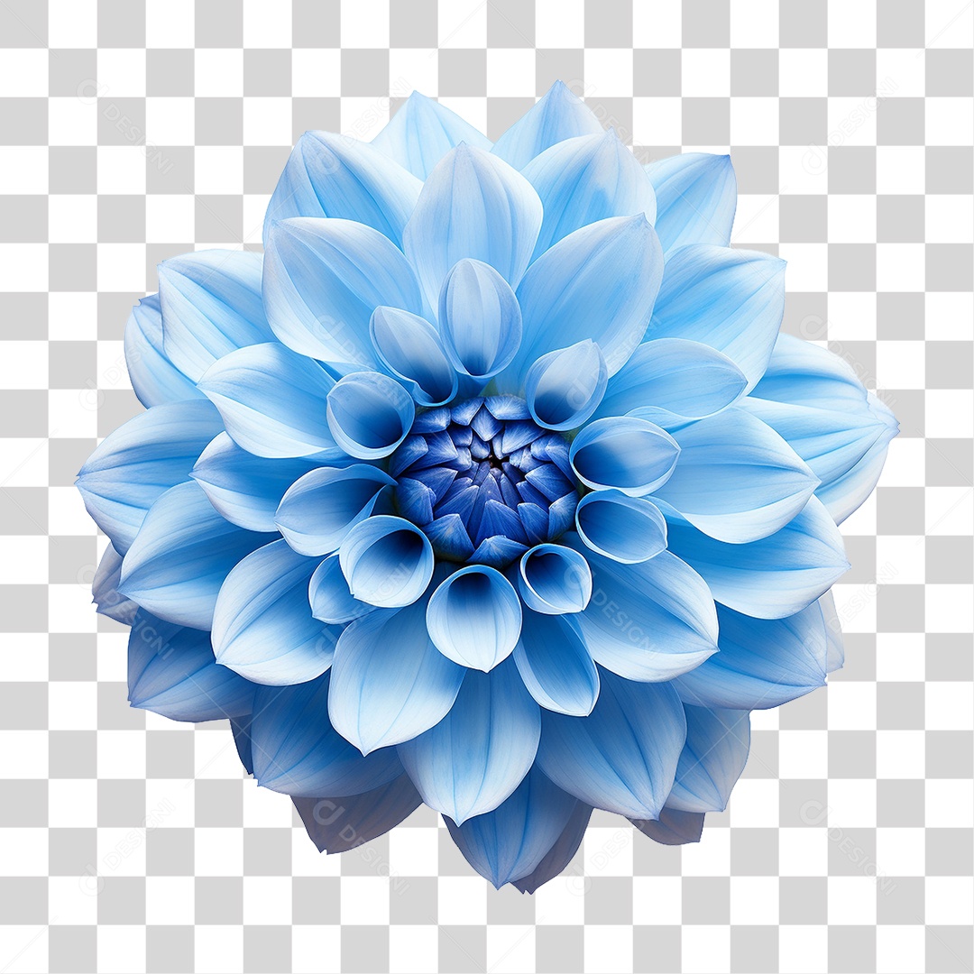 Flor Azul PNG Transparente