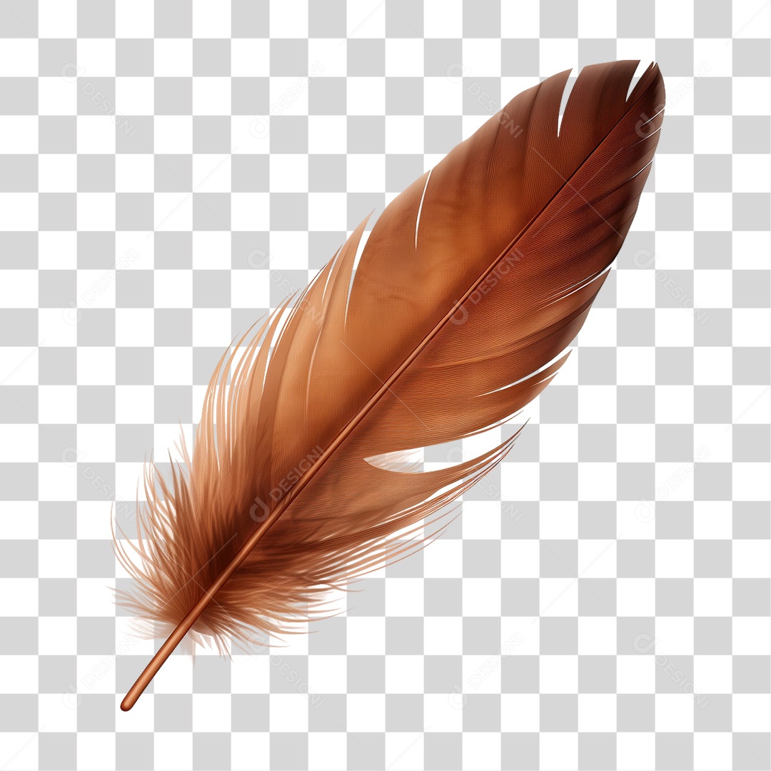 Pena PNG Transparente