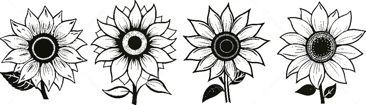 Conjunto de Flores Desenho Vetor EPS