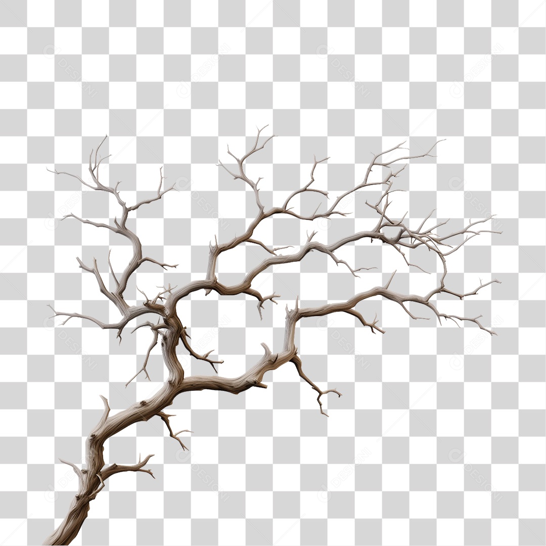 Galho de Árvore Seco PNG Transparente