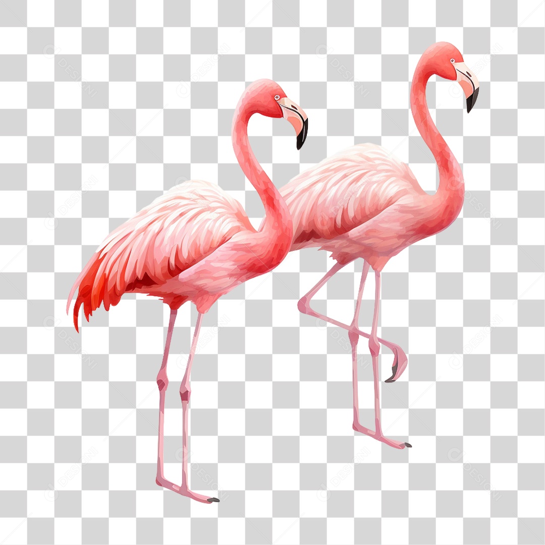 Flamingo Ave PNG Transparente