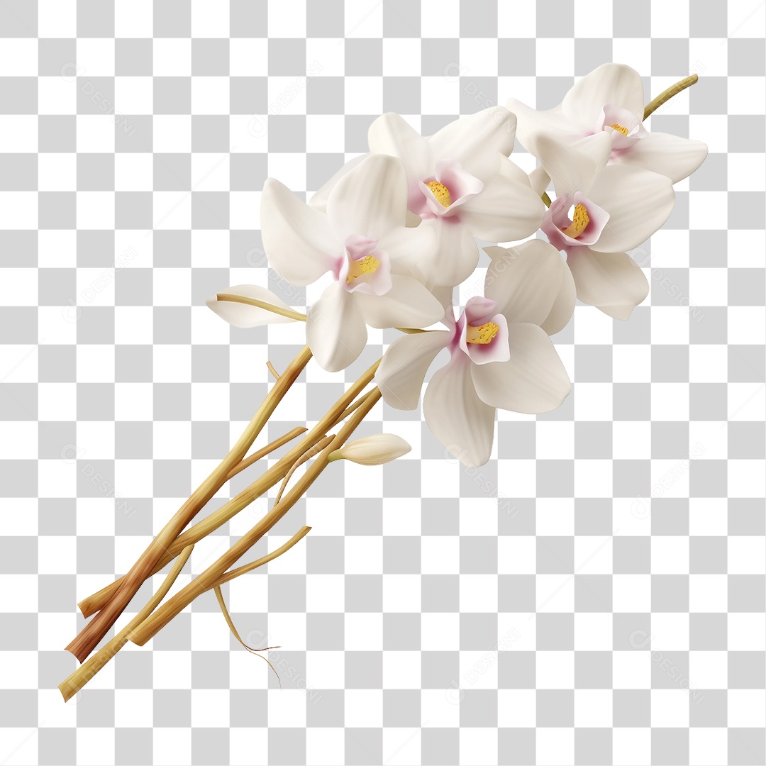 Flores Rosas Plantas PNG Transparente