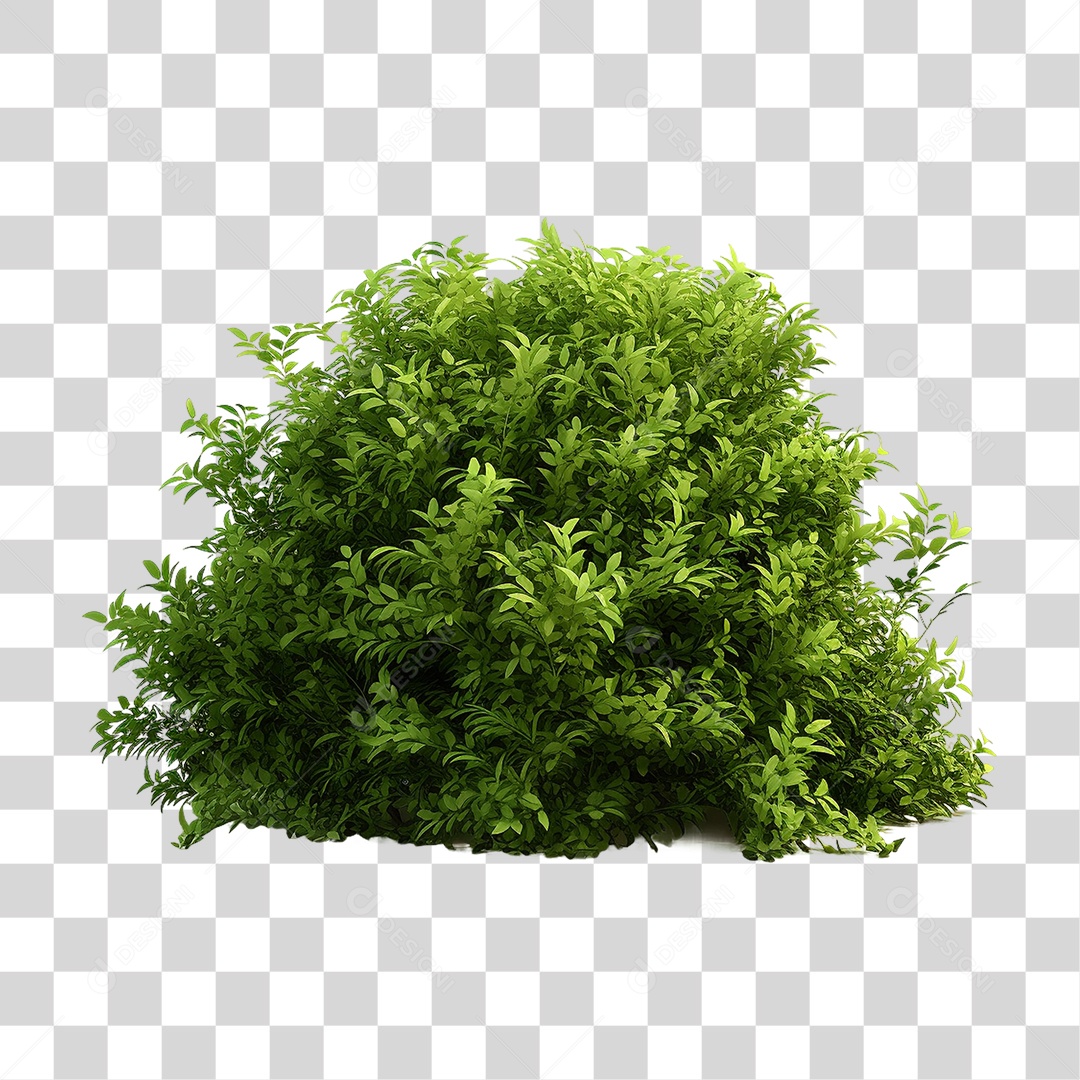 Arbusto Plantas Verdes PNG Transparente