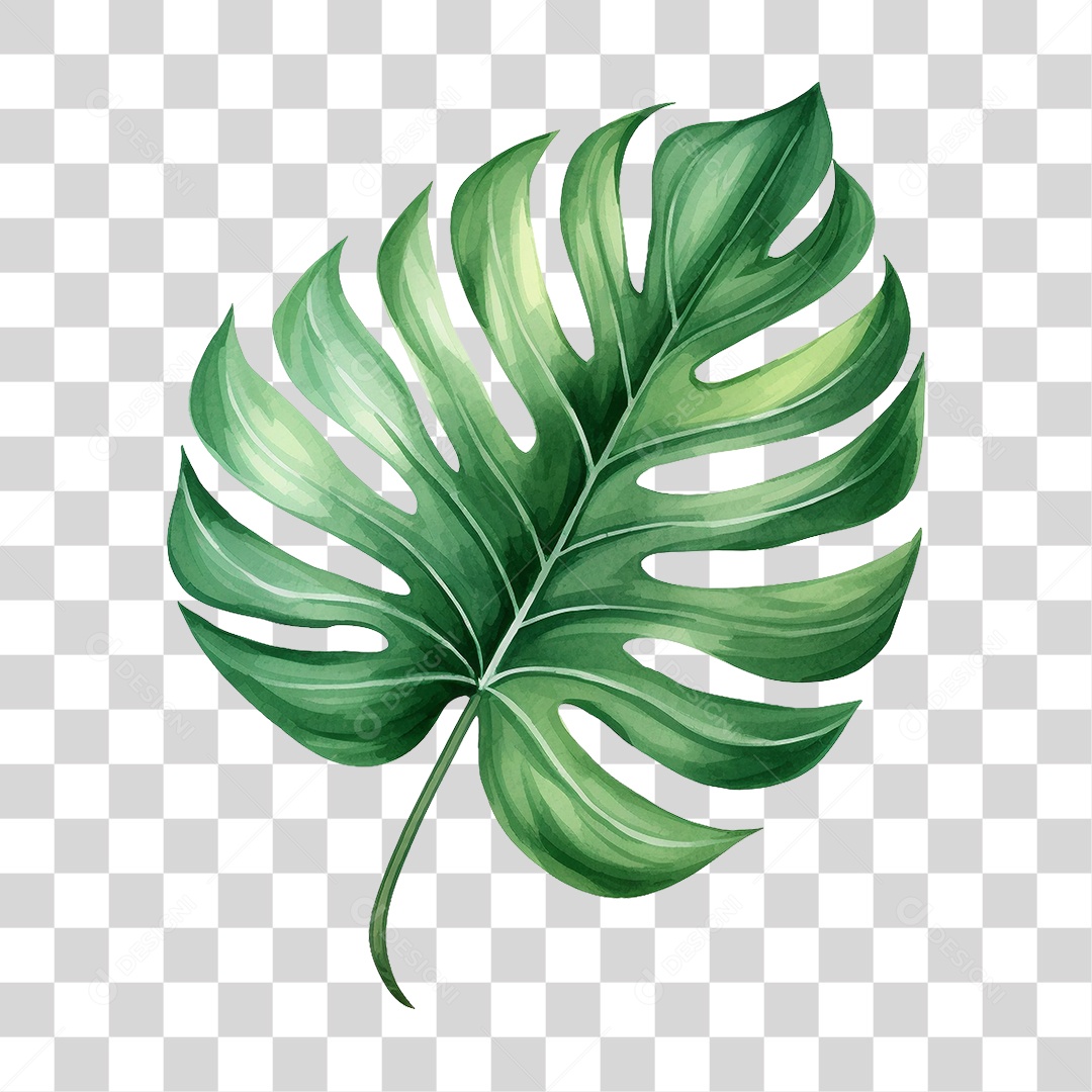 Folhas Verdes PNG Transparente