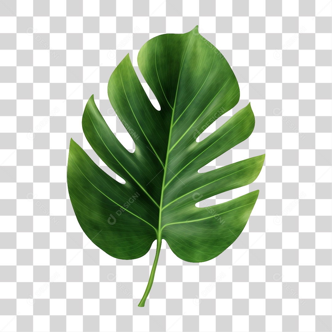 Folhas Verdes PNG Transparente