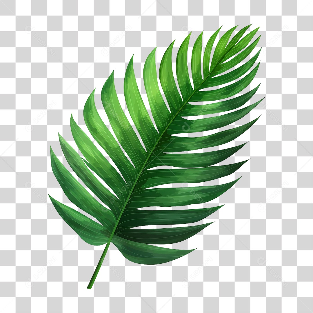 Folhas Verdes PNG Transparente