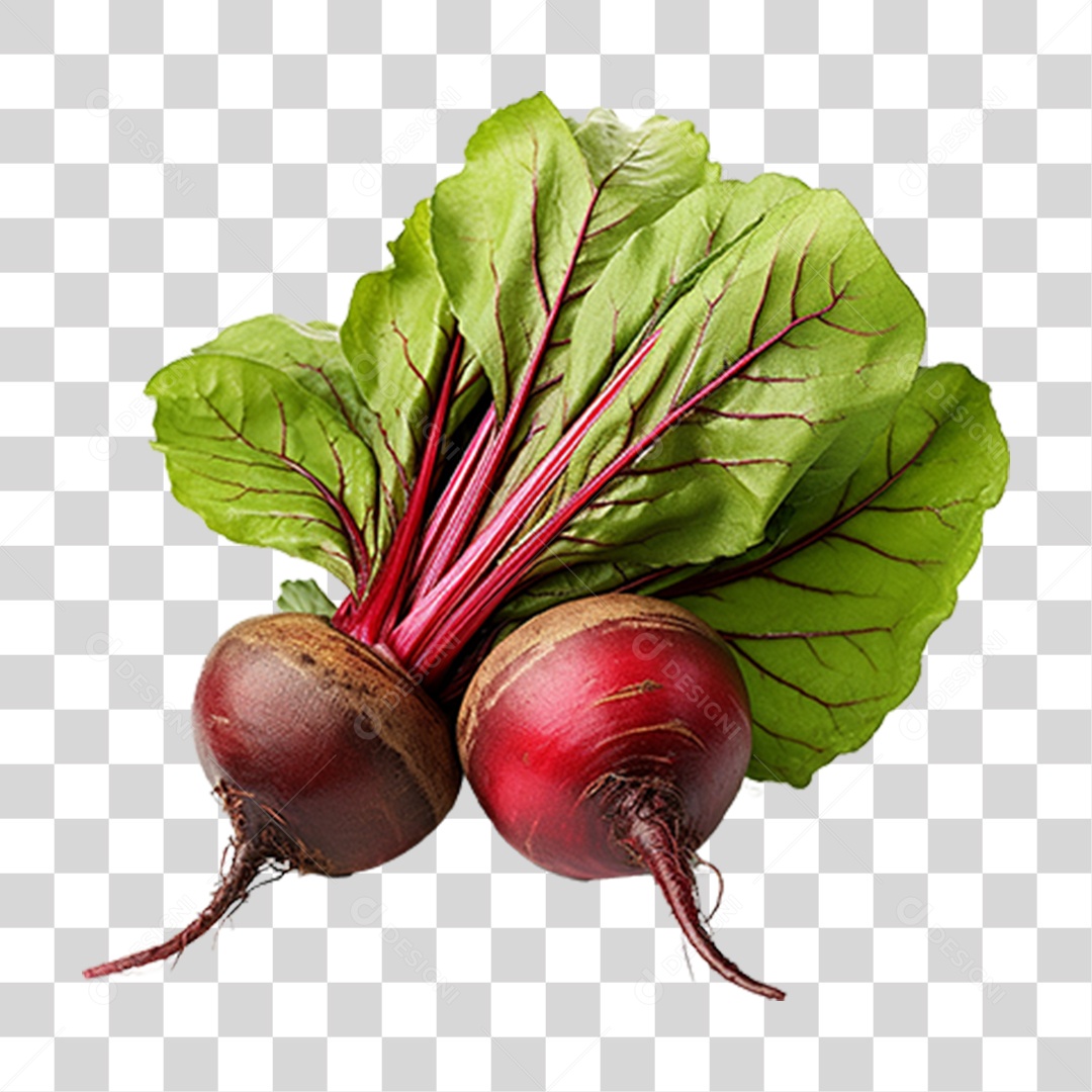 Beterraba Legumes PNG Transparente