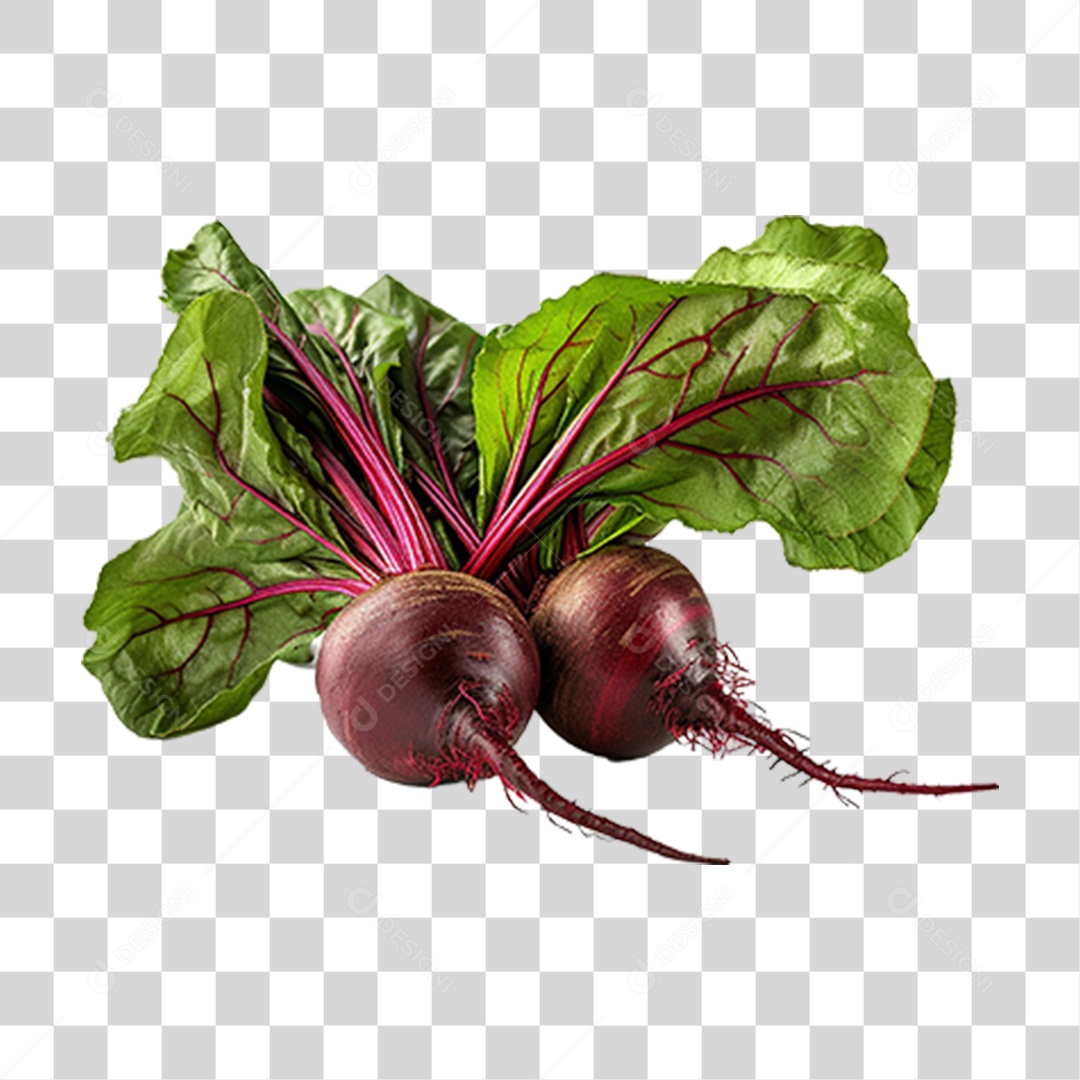 Beterraba Legumes PNG Transparente