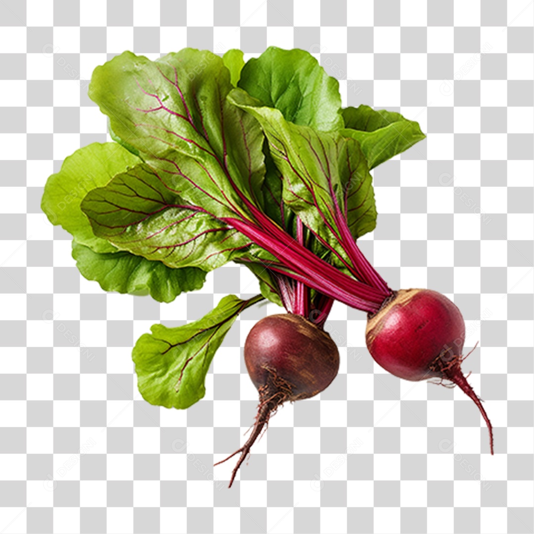Beterraba Legumes PNG Transparente