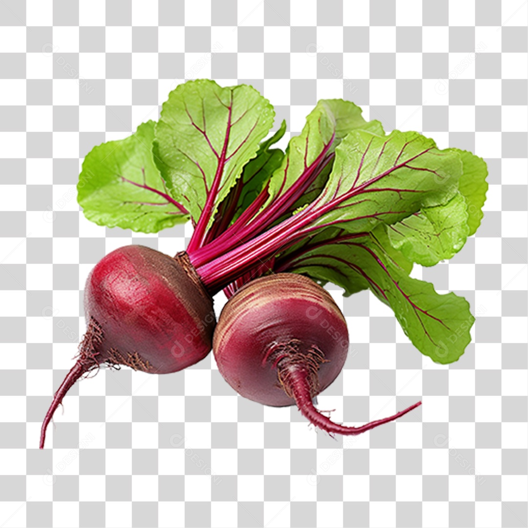 Beterraba Legumes PNG Transparente