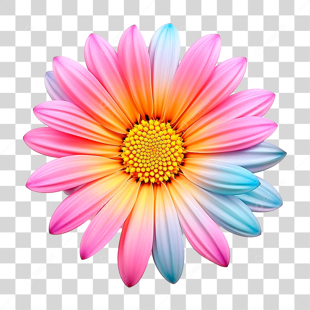 Flor Colorida PNG Transparente