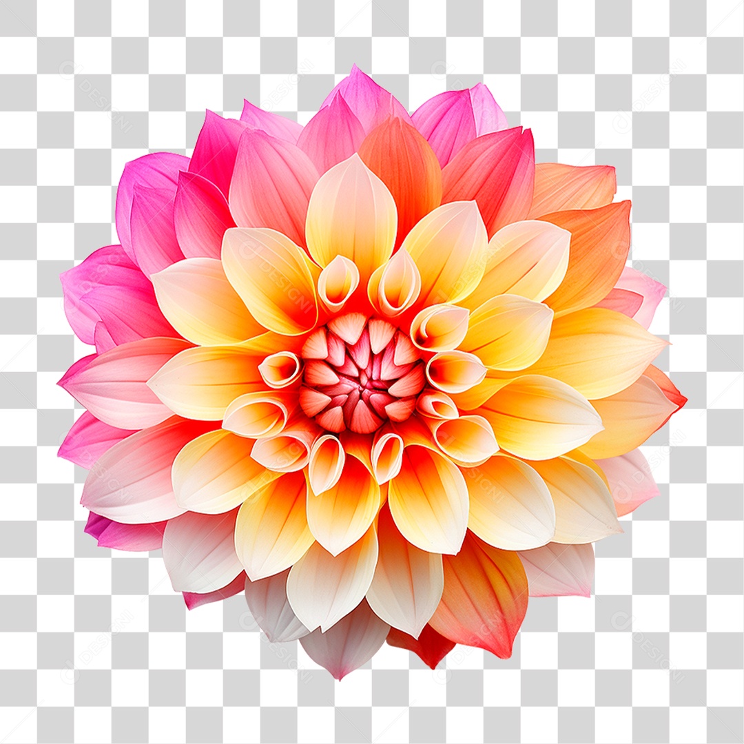 Flor Colorida PNG Transparente