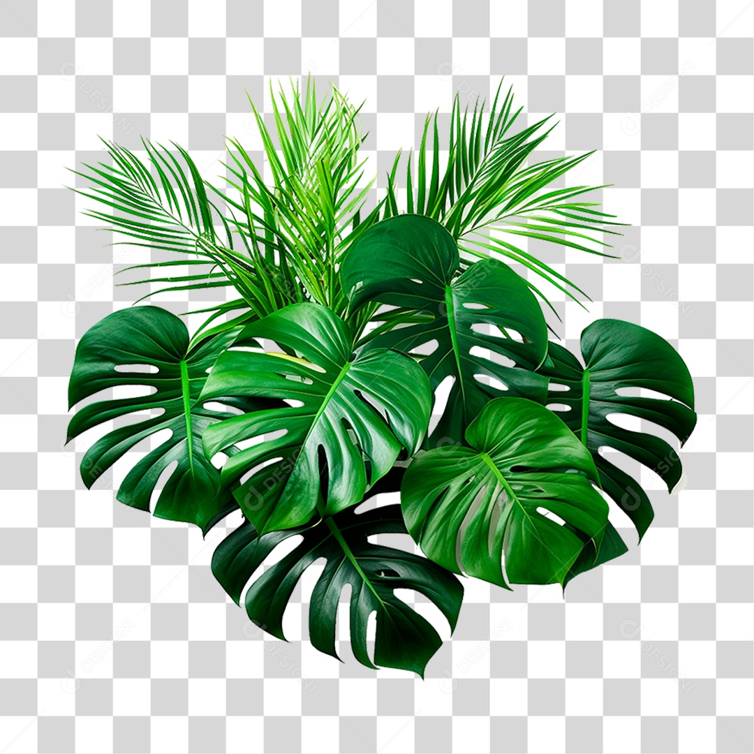 Folhas Verdes PNG Transparente