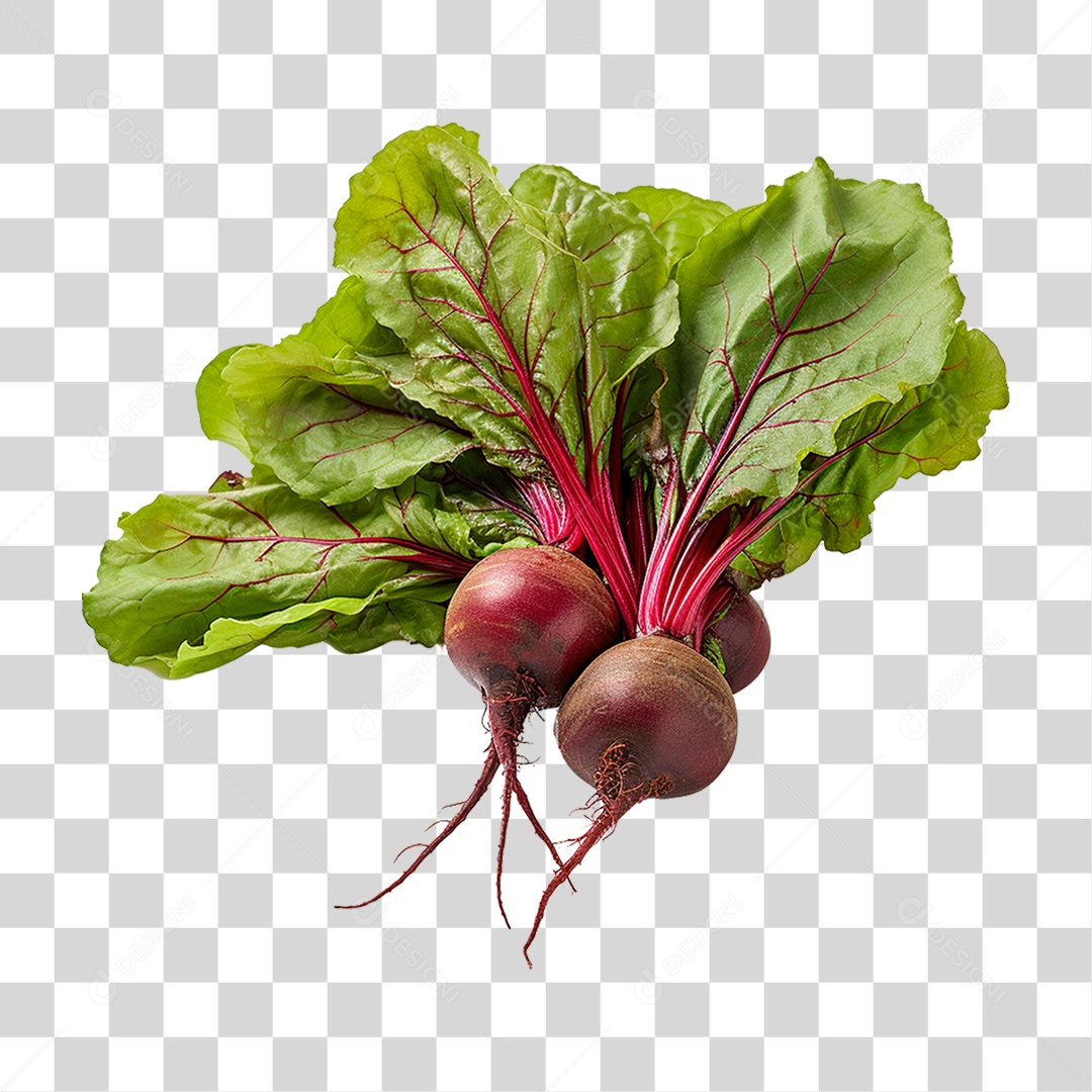 Beterrabas PNG Transparente