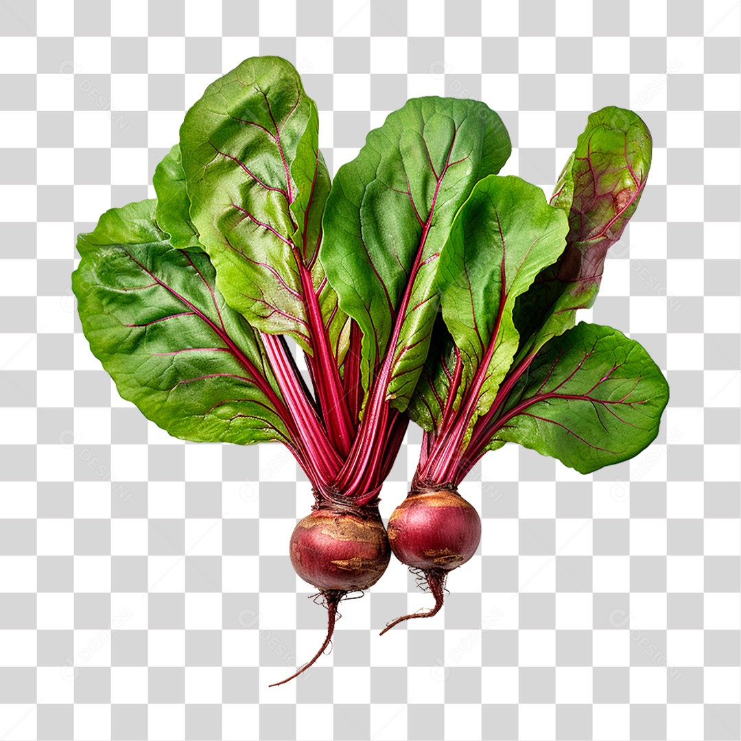 Beterrabas PNG Transparente