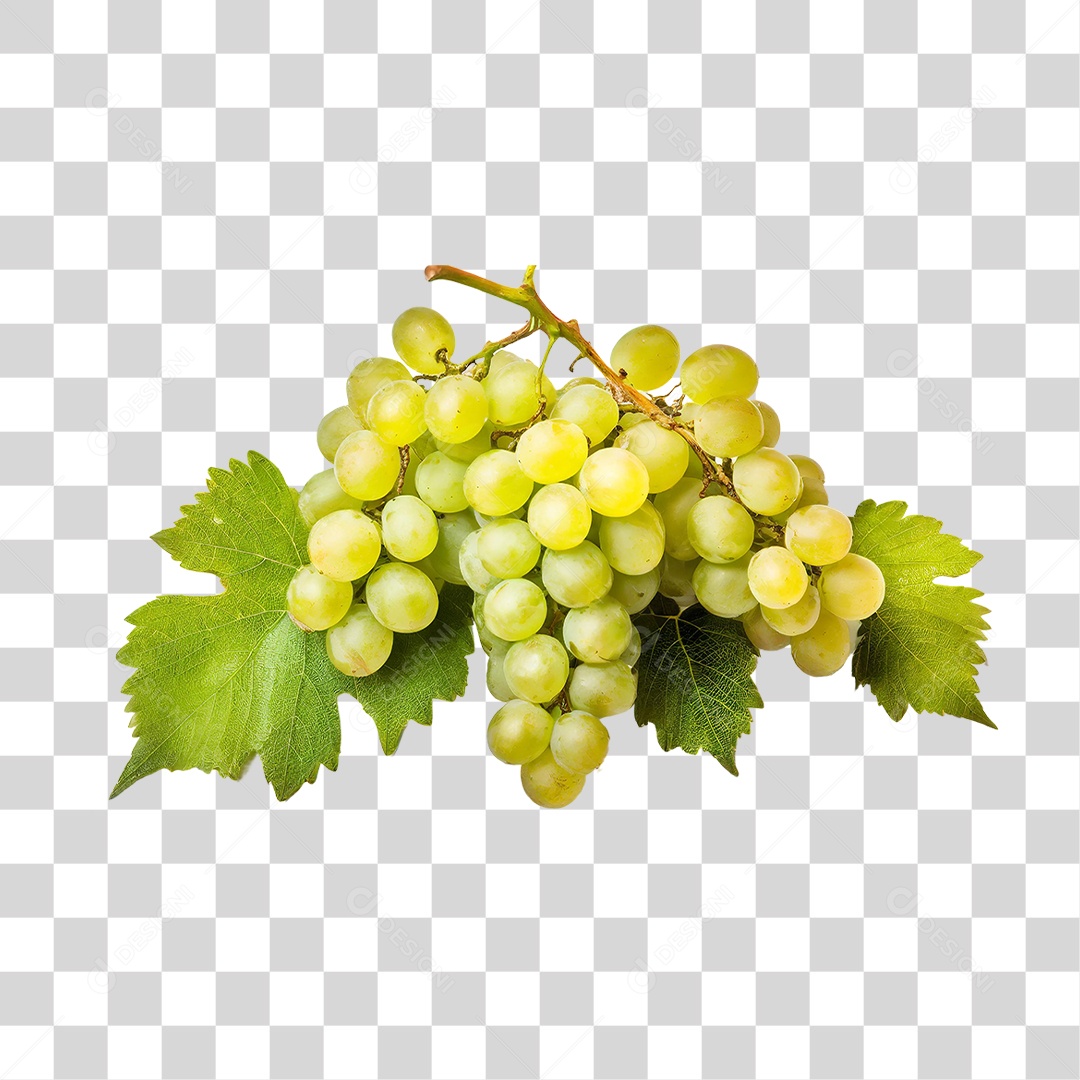 Cacho de Uva Verde PNG Transparente
