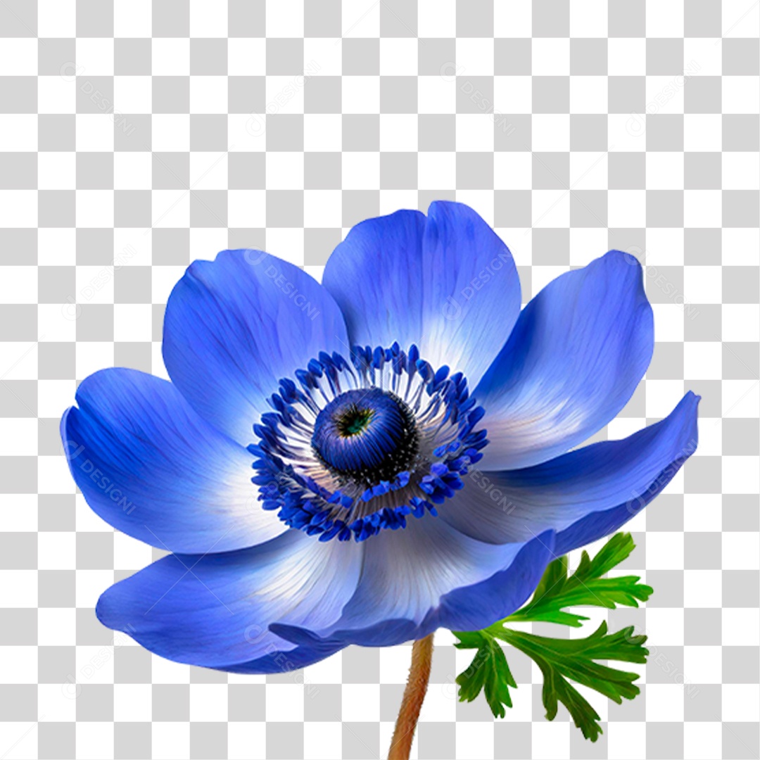 Flor Azul PNG Transparente