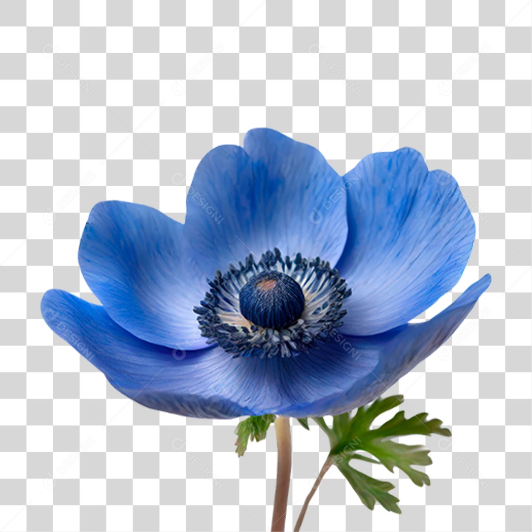 Flor Azul PNG Transparente