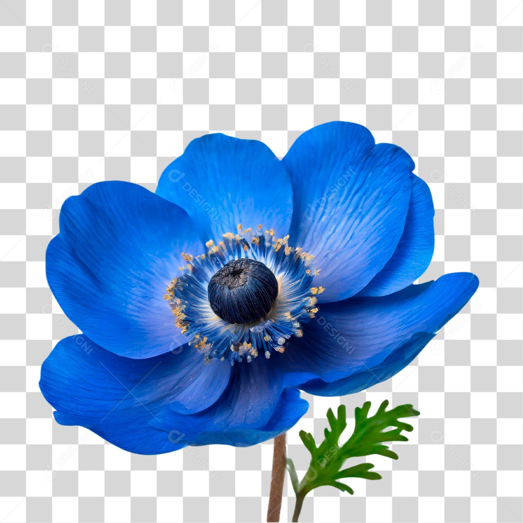 Flor Azul PNG Transparente