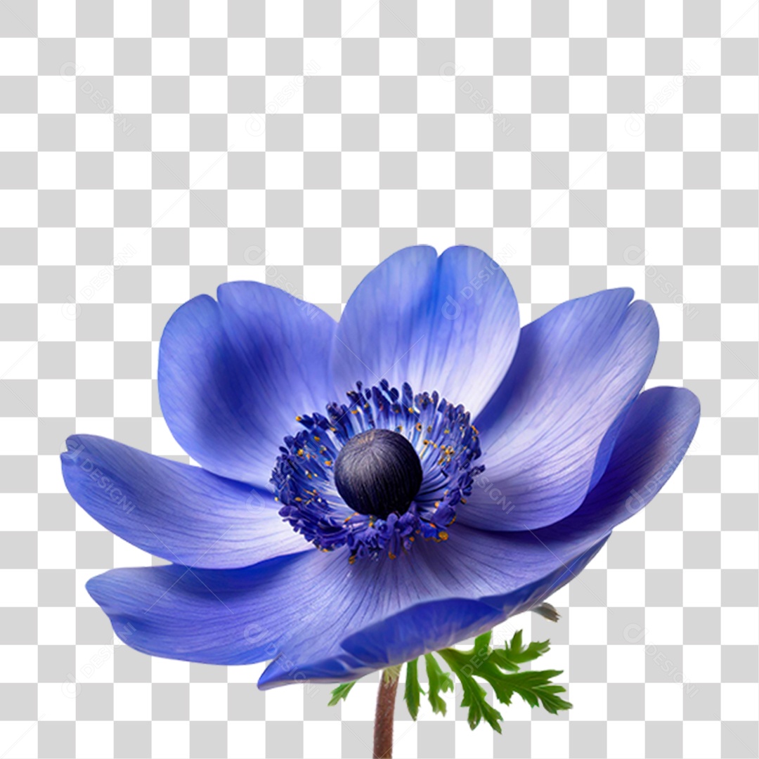 Flor Azul PNG Transparente