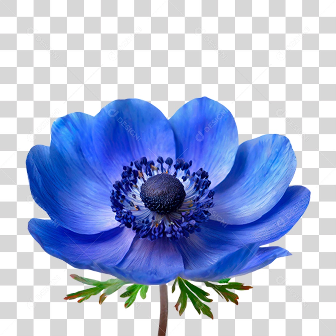 Flor Azul PNG Transparente