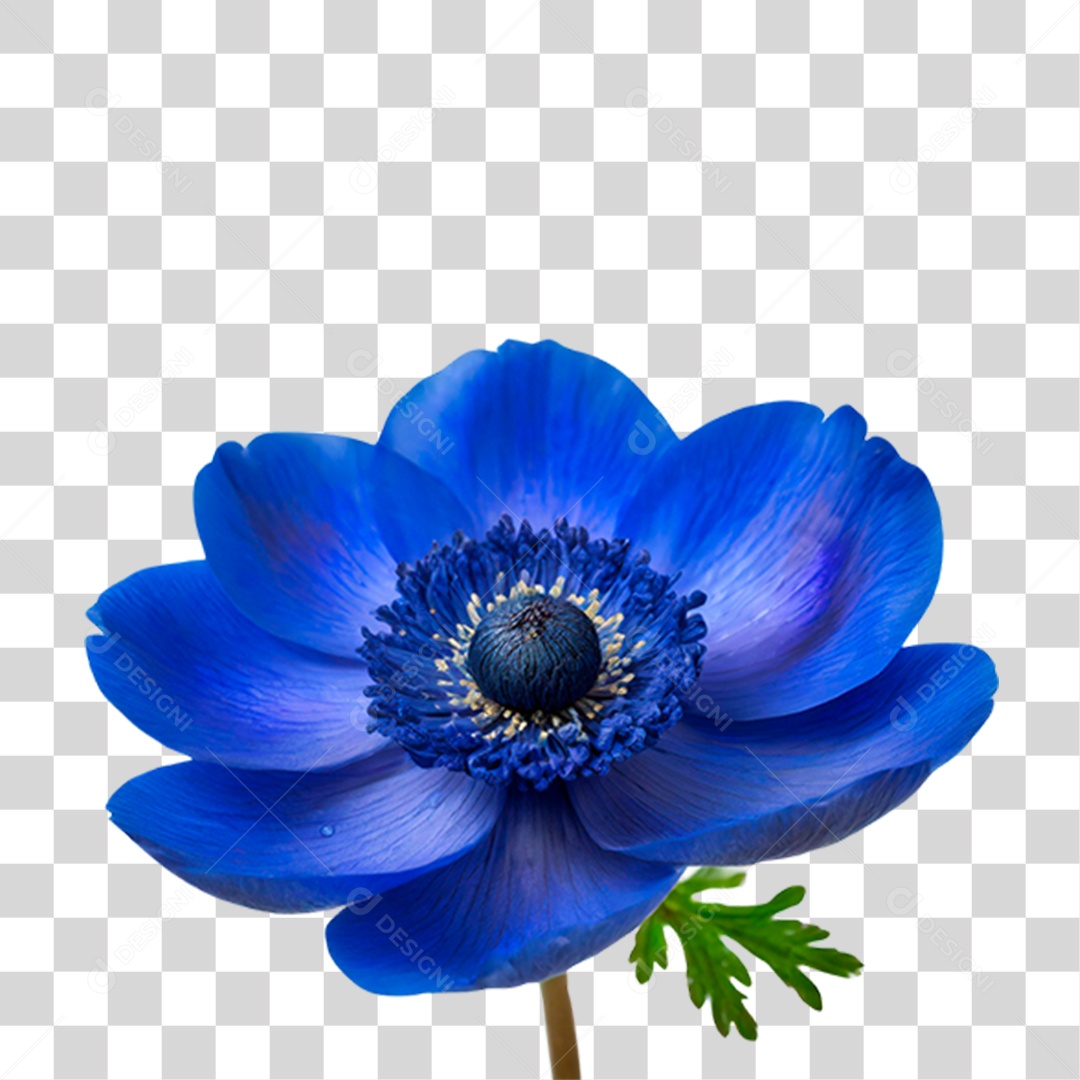 Flor Azul PNG Transparente