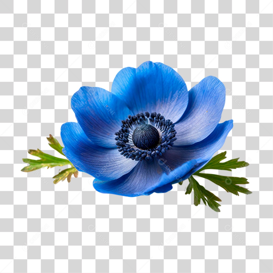 Flor Azul PNG Transparente