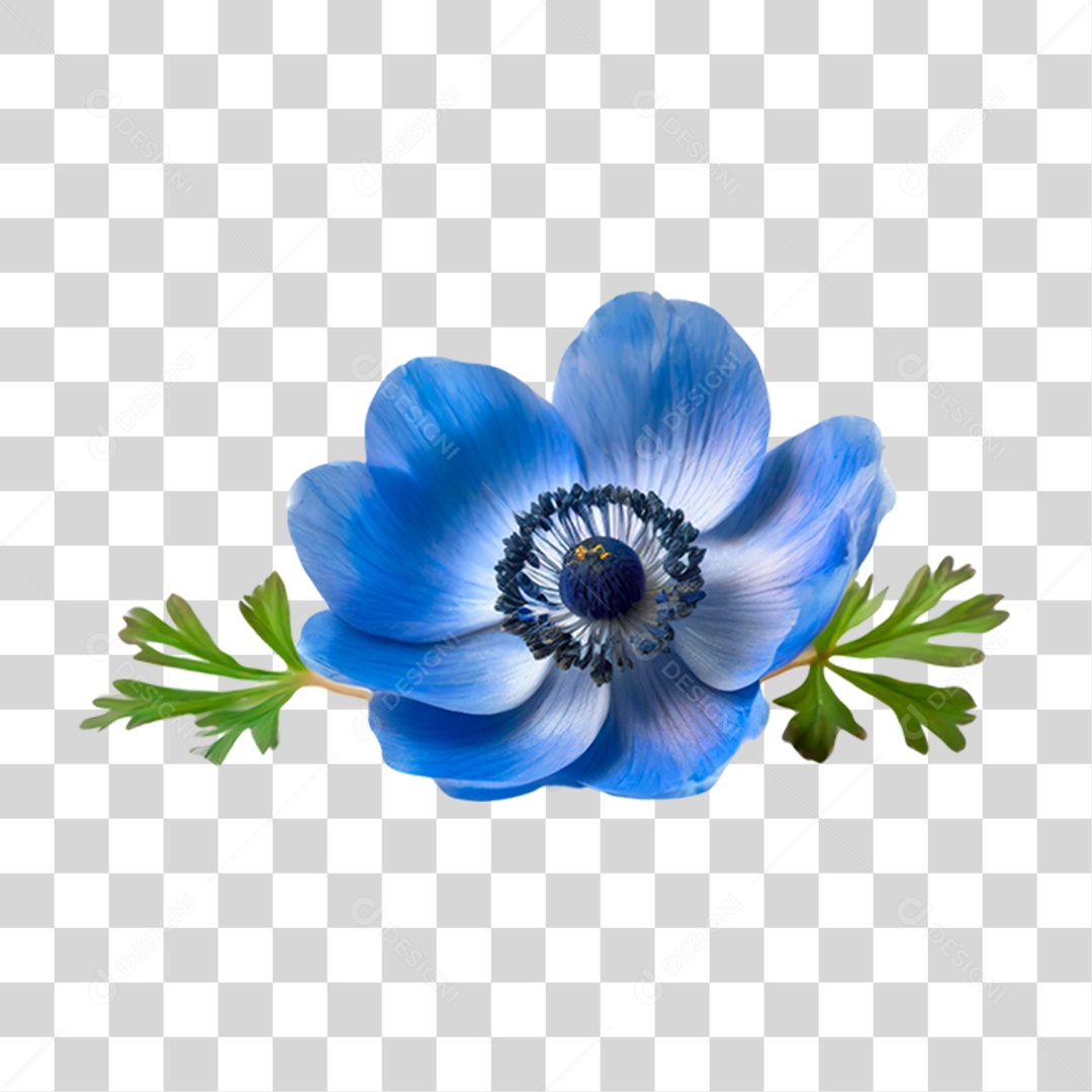 Flor Azul PNG Transparente