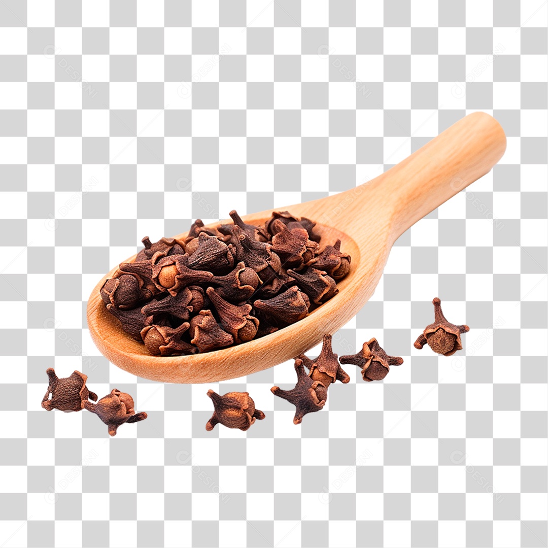 Concha de Madeira com Cravo PNG Transparente