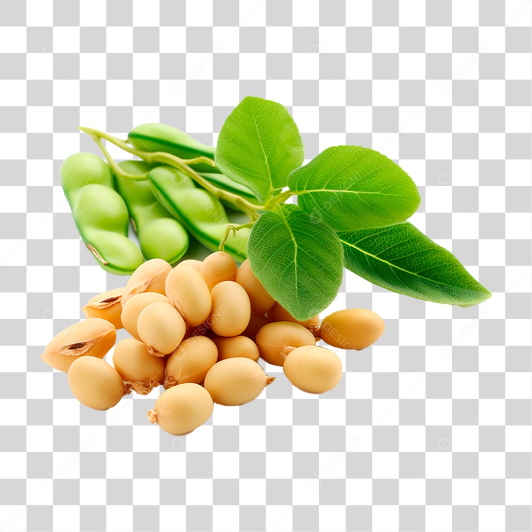 Grãos de Soja PNG Transparente